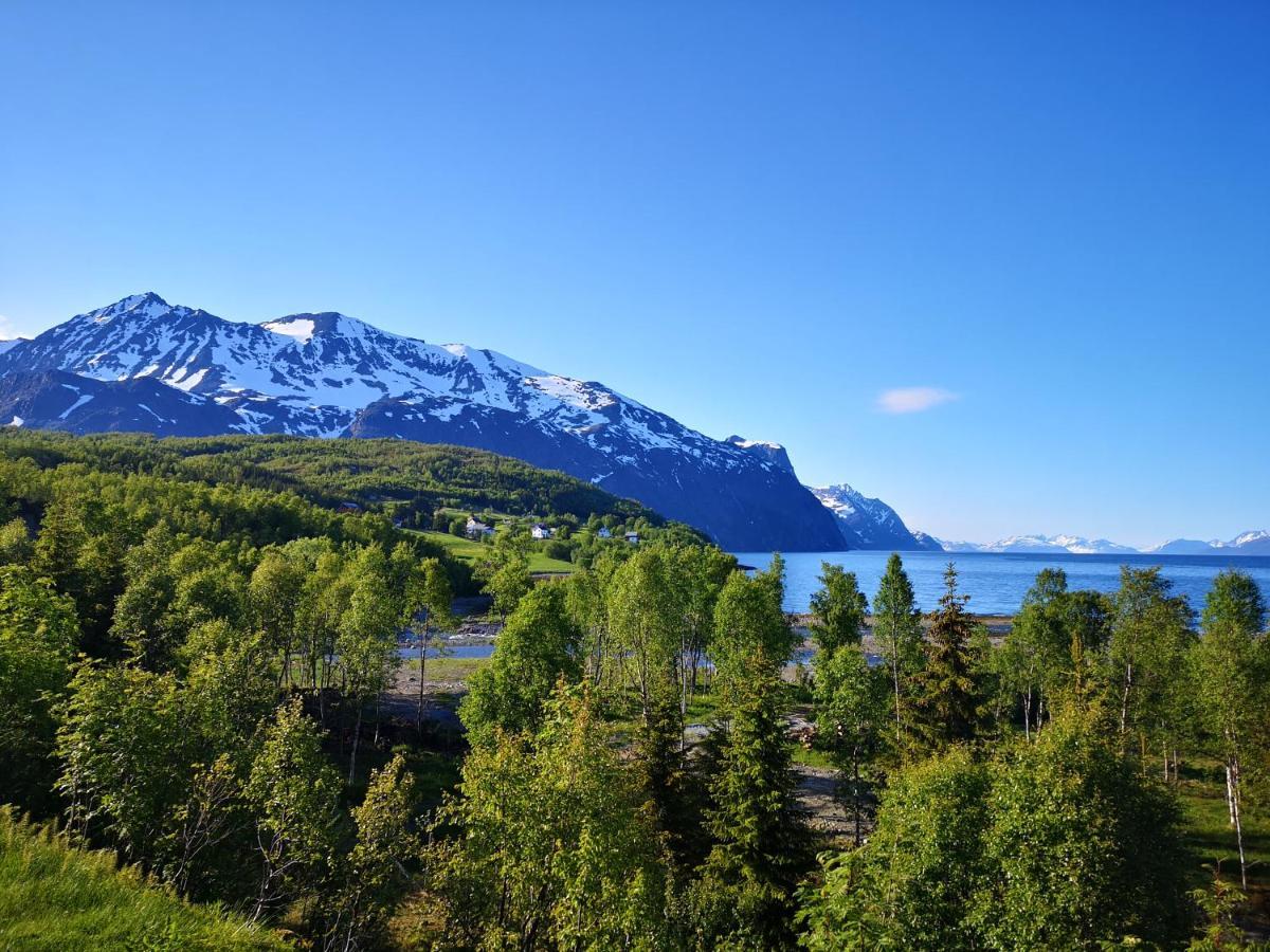 House In The Heart Of The Lyngen Alps With Best View Villa Lyngseidet Eksteriør billede