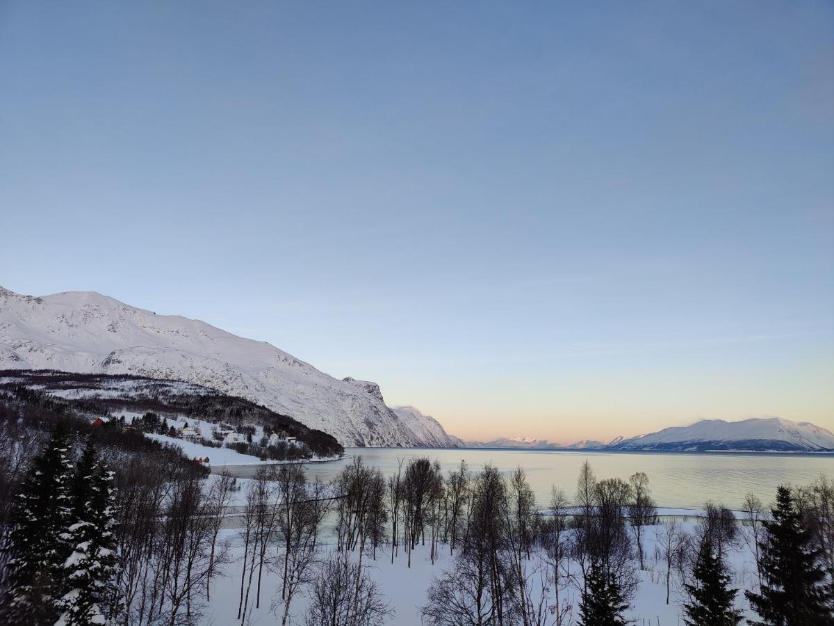 House In The Heart Of The Lyngen Alps With Best View Villa Lyngseidet Eksteriør billede