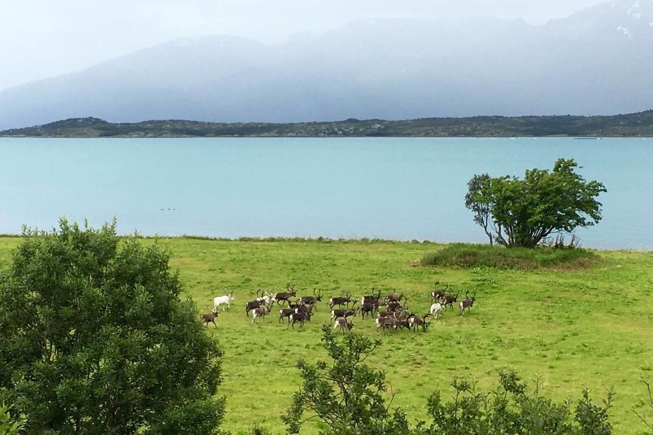 House In The Heart Of The Lyngen Alps With Best View Villa Lyngseidet Eksteriør billede